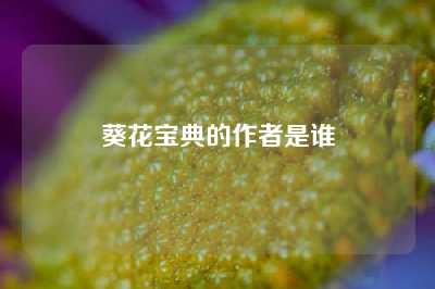 葵花宝典的作者是谁