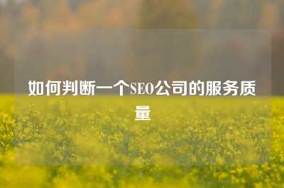 如何判断一个SEO公司的服务质量