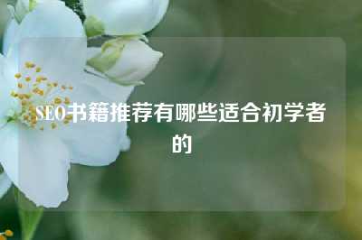 SEO书籍推荐有哪些适合初学者的