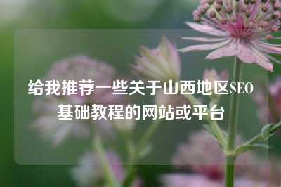 给我推荐一些关于山西地区SEO基础教程的网站或平台