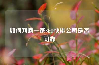 如何判断一家SEO快排公司是否可靠