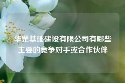 华罡基础建设有限公司有哪些主要的竞争对手或合作伙伴