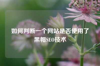 如何判断一个网站是否使用了黑帽SEO技术