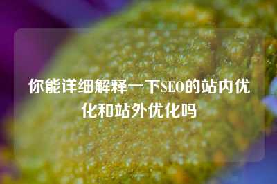 你能详细解释一下SEO的站内优化和站外优化吗