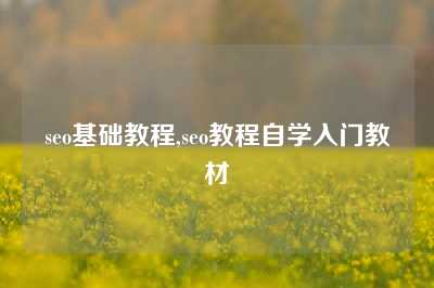 seo基础教程,seo教程自学入门教材