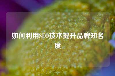 如何利用SEO技术提升品牌知名度