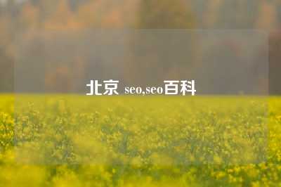 北京 seo,seo百科