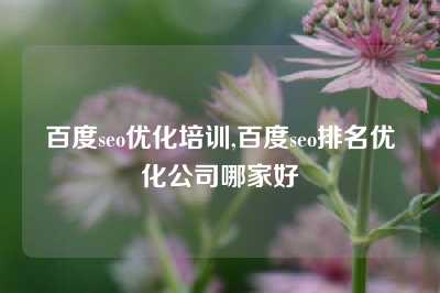 百度seo优化培训,百度seo排名优化公司哪家好