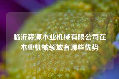 临沂森源木业机械有限公司在木业机械领域有哪些优势