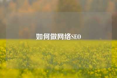 如何做网络SEO