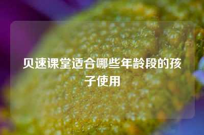 贝速课堂适合哪些年龄段的孩子使用