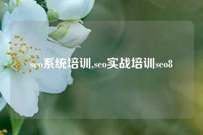 seo系统培训,seo实战培训seo8