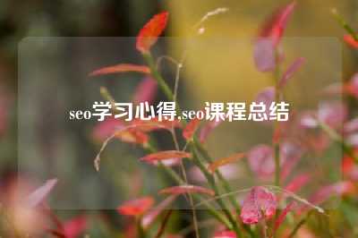 seo学习心得,seo课程总结