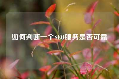 如何判断一个SEO服务是否可靠