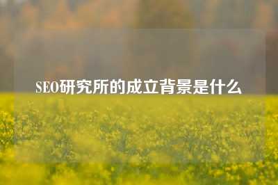 SEO研究所的成立背景是什么