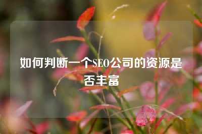 如何判断一个SEO公司的资源是否丰富