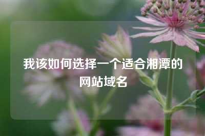 我该如何选择一个适合湘潭的网站域名