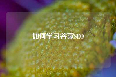 如何学习谷歌SEO