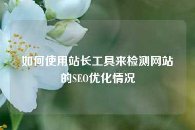 如何使用站长工具来检测网站的SEO优化情况