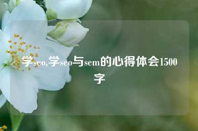 学seo,学seo与sem的心得体会1500字