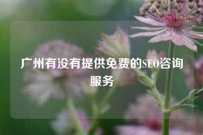 广州有没有提供免费的SEO咨询服务