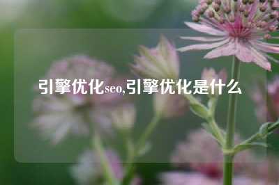 引擎优化seo,引擎优化是什么