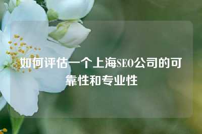 如何评估一个上海SEO公司的可靠性和专业性