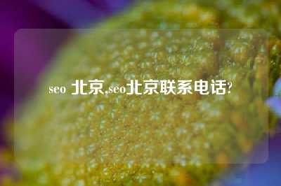 seo 北京,seo北京联系电话?