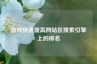 如何快速提高网站在搜索引擎上的排名