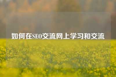 如何在SEO交流网上学习和交流