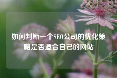 如何判断一个SEO公司的优化策略是否适合自己的网站