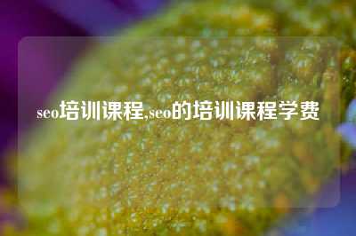 seo培训课程,seo的培训课程学费