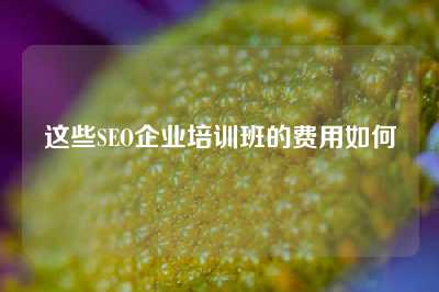 这些SEO企业培训班的费用如何