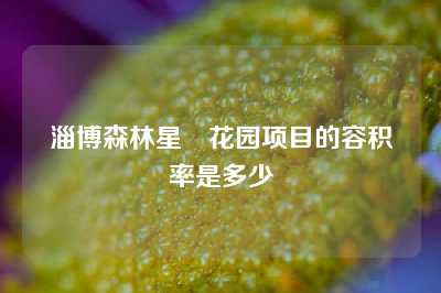 淄博森林星玥花园项目的容积率是多少