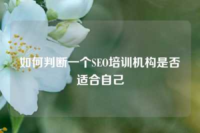 如何判断一个SEO培训机构是否适合自己