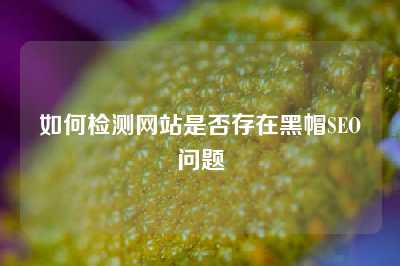 如何检测网站是否存在黑帽SEO问题