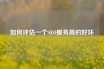 如何评估一个SEO服务商的好坏