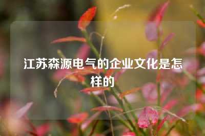 江苏森源电气的企业文化是怎样的