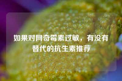 如果对网奇霉素过敏，有没有替代的抗生素推荐