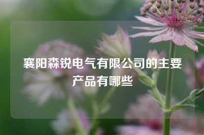 襄阳森锐电气有限公司的主要产品有哪些