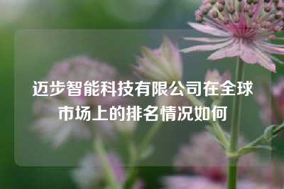 迈步智能科技有限公司在全球市场上的排名情况如何