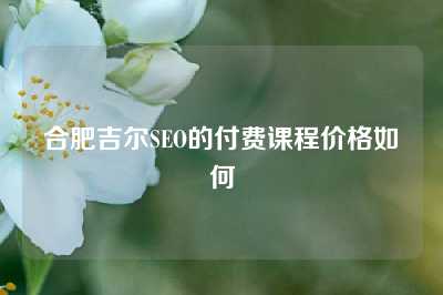 合肥吉尔SEO的付费课程价格如何