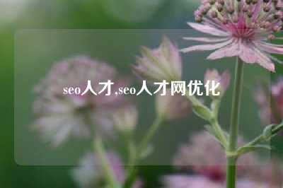 seo人才,seo人才网优化