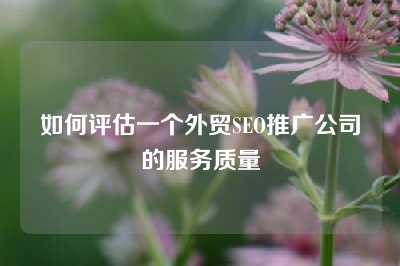 如何评估一个外贸SEO推广公司的服务质量