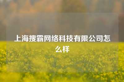 上海搜霸网络科技有限公司怎么样