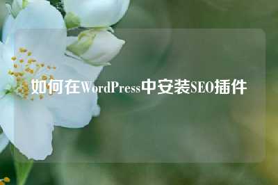 如何在WordPress中安装SEO插件