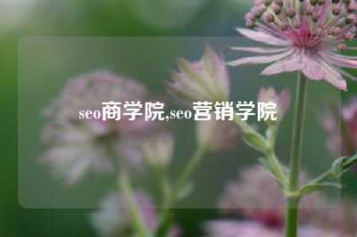 seo商学院,seo营销学院