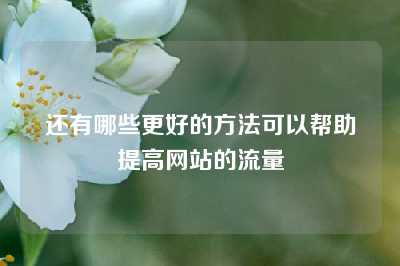 还有哪些更好的方法可以帮助提高网站的流量