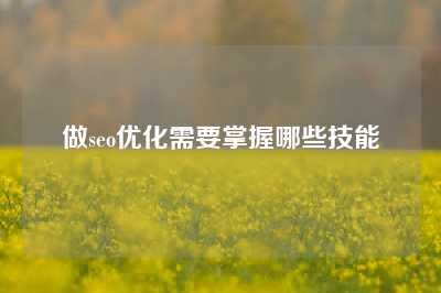 做seo优化需要掌握哪些技能