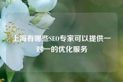 上海有哪些SEO专家可以提供一对一的优化服务